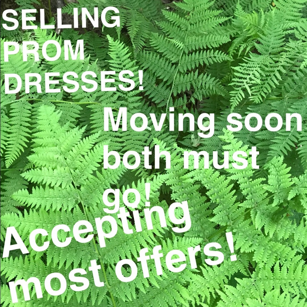 PROM DRESSES MUST GO!